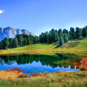 欧美大黑鸡巴操屁眼儿
